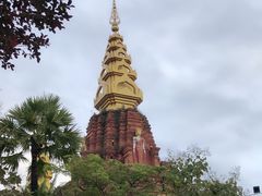 -纳兰傣雀傣味餐厅