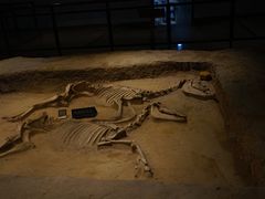 -洛阳周王城天子驾六博物馆