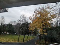 -浙江大学(玉泉校区)