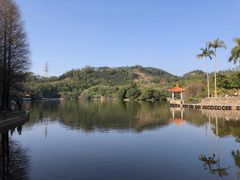 -深圳仙湖植物园