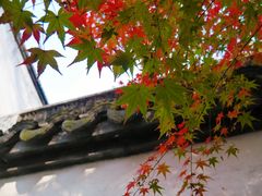 -苏州文旅花间堂·探花府酒店