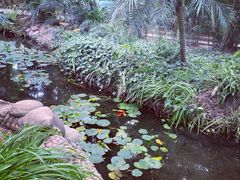 -石家庄市植物园