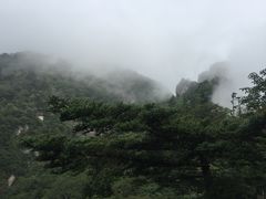 -牛背梁国家森林公园