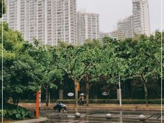 -苏州河梦清园环保主题公园