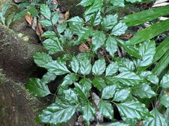 -七仙岭温泉国家森林公园