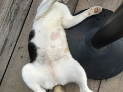 -芭提雅Amporn Seafood自助餐厅