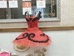 -卡普兰芭蕾舞学校(西固校区)