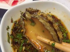 -金龙·打边炉(南京西路店)