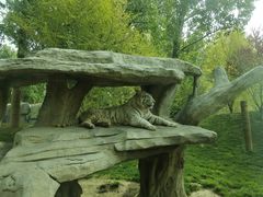 -北京野生动物园