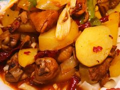 -巴依老爷新疆美食(常营店)