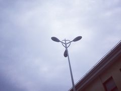 -上海海洋大学鱼文化博物馆(军工路校区)