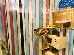 -小时光咖啡馆(开森度假森林店)