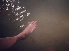 -碧水湾温泉
