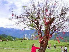 -硗碛藏寨·神木垒景区