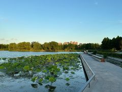 -澹台湖公园