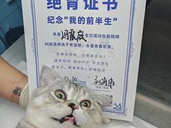 -芭比堂动物医院·心脏科·老年急重症·夜诊·吉雅分院