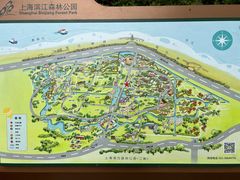 -上海滨江森林公园