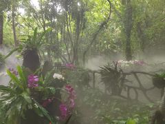 -呀诺达热带雨林
