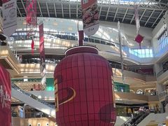 -阳阳中国饭(龙湖大兴天街)