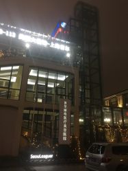 -上海首尔丽格医疗美容医院
