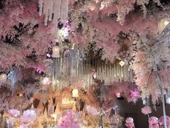 -云境生态园(红谷滩店)