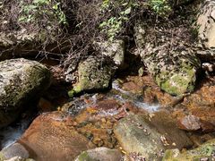 -五女峰国家森林公园