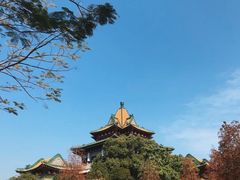 -顺峰山公园