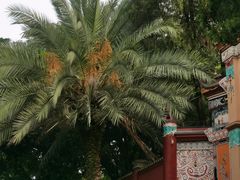 -白帝城·瞿塘峡景区