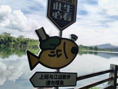 -苏家围·东江画廊旅游景区