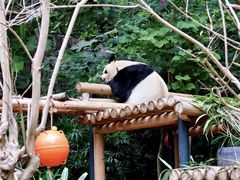 -深圳野生动物园