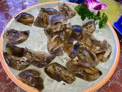 土笋冻-五姊妹海鲜(火车站店)