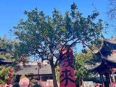 -钱王祠