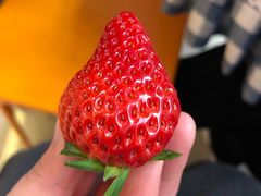 -盒马鲜生(莱蒙都会店)