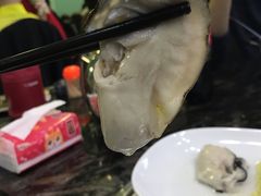 -蚝专家