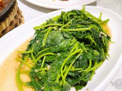 炒时蔬-后田海鲜餐厅(南澳香湖湾店)