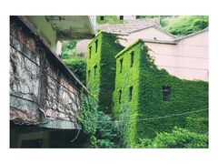 -枸杞岛