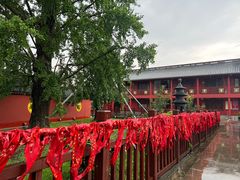 -上海财神庙