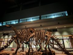 -自贡恐龙博物馆