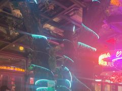 -海岛八号龙虾烧烤田鸡(蓝天路总店)