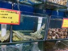水产区-蚝专家(北滘店)