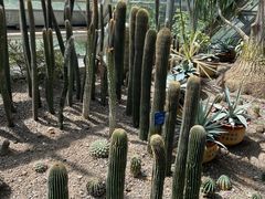 -南山植物园