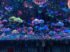 -梵高星空艺术馆(北京旗舰店)