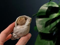 -Oyster Talks 四度蚝法餐厅