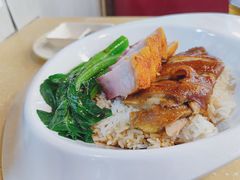 烧味双拼饭-九龙湾茶餐厅(东门店)