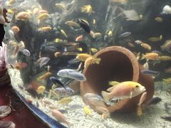 -太平洋海底世界