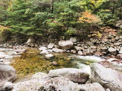 -青峰峡国家森林公园