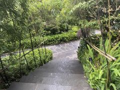 -腾冲洞山温泉村