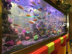 -御池园(顾村公园店)