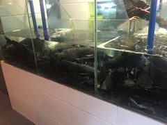 -湄公河秘制烤鱼(西双十贰城商业中心店)