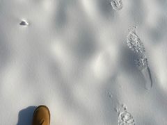 -华彬猛犸滑雪场